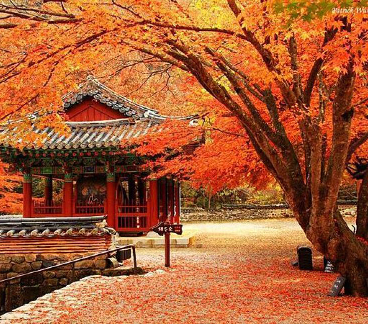 9 địa điểm du lịch Hàn Quốc mùa thu