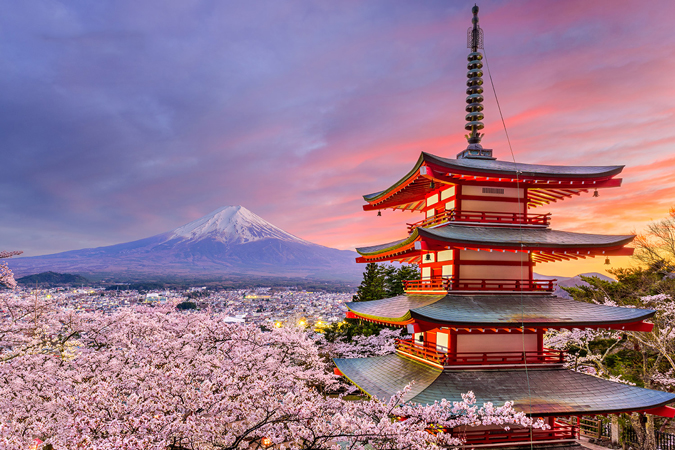 1. Anh Đào – Xuân Về Thắm Hồng Đất Trời Nhật Bản
