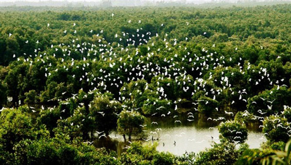 Vườn quốc gia Tràm Chim Tam Nông