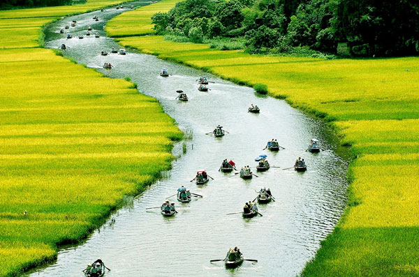 Dòng Sông Ngô Đồng được đưa vào thơ ca