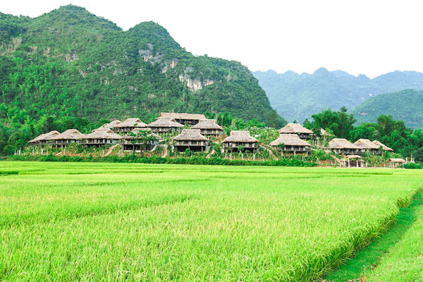 Một ngôi làng ở Mộc Châu