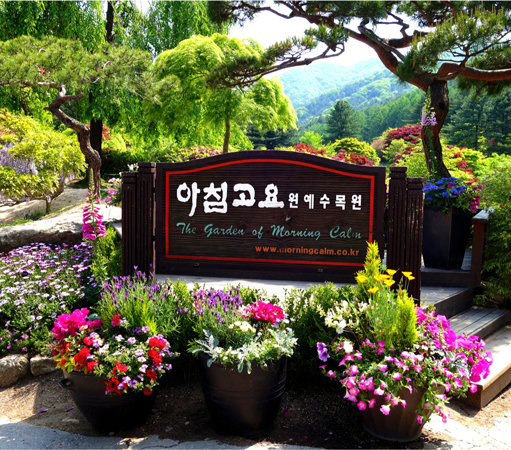 Bật mí khu vườn sẽ tổ chức lễ hội mùa xuân nổi tiếng ở Hàn Quốc