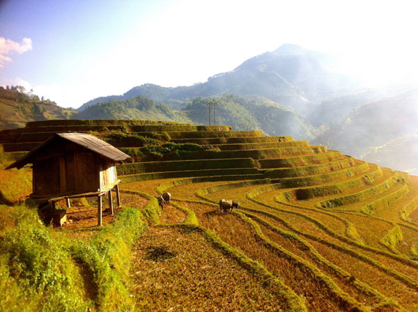 Mọi người hãy đến đây để taanjmawts chiêm ngưỡng nó