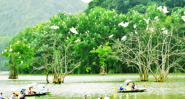 Vườn Chim trong Thung Nham