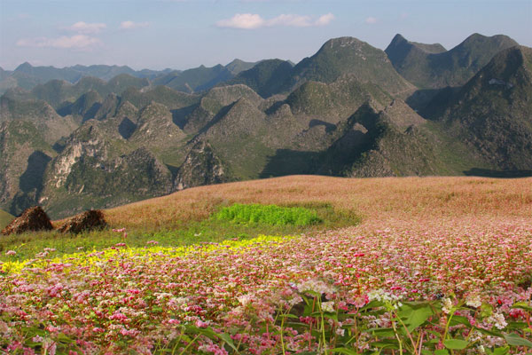 Cao Nguyên Đá Đồng Văn