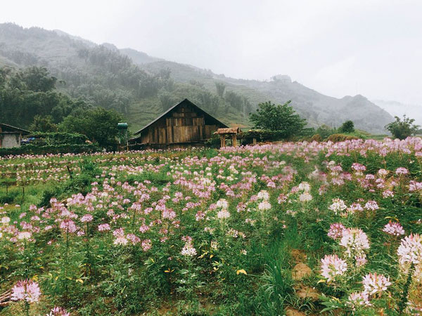 Bản làng nơi đây rất đẹp