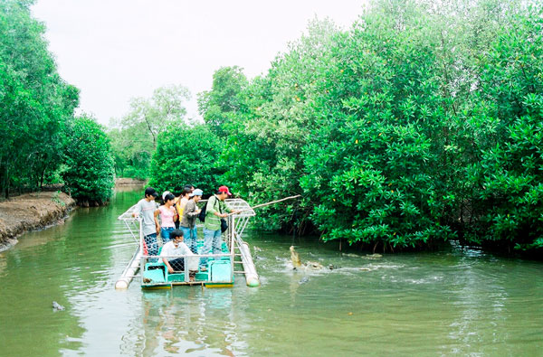 Câu cá sấu