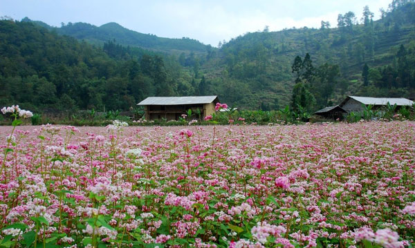 tuyệt cảnh nhân gian