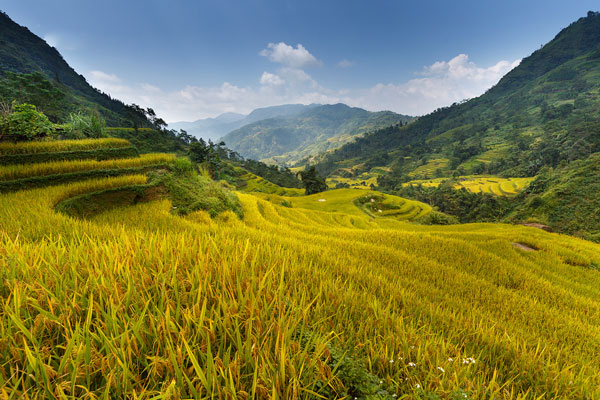 Nơi đây thật sự không có gì chê được