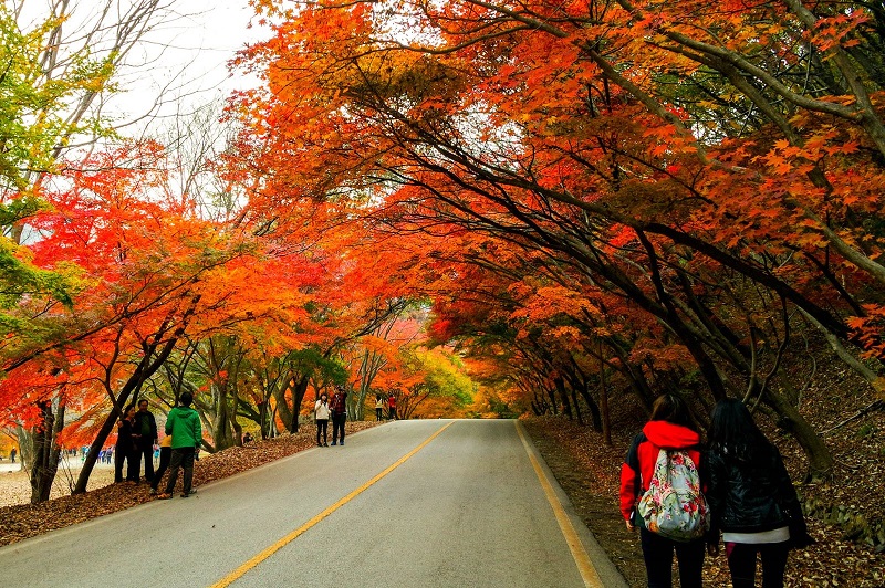 1. VƯỜN QUỐC GIA NAEJANGSAN, JEOLLA BUK DO