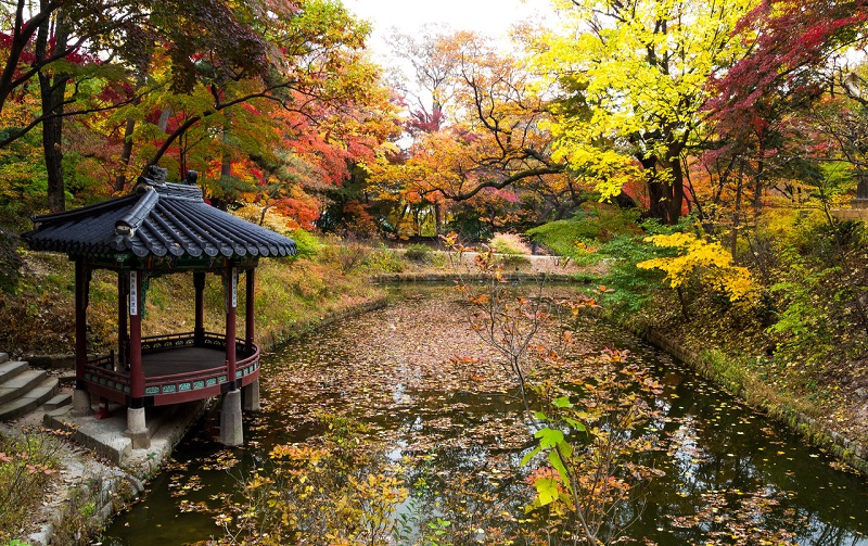 2. CUNG ĐIỆN CHANGDEOKGUNG, SEOUL