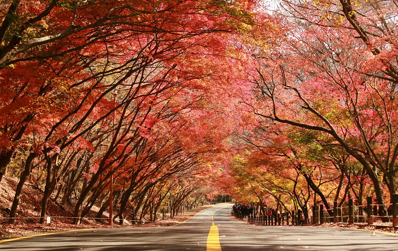 3. CÔNG VIÊN NAMSAN, SEOUL