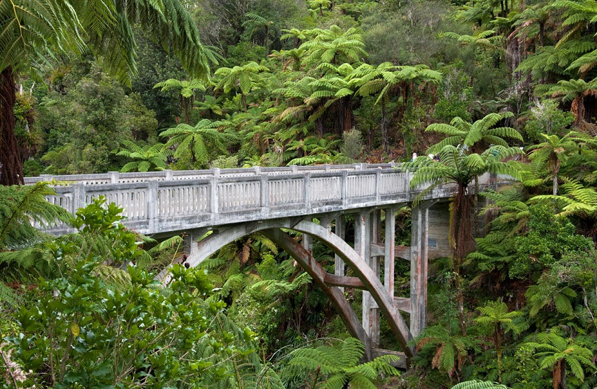 BRIDGE TO NOWHERE (VƯỜN QUỐC GIA WHANGANUI, NEW ZEALAND)