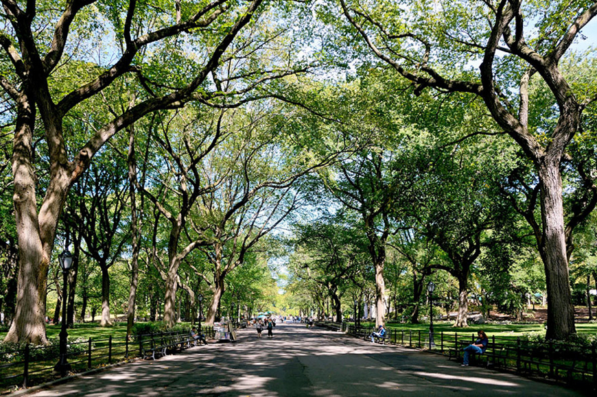 POET’S WALK, CENTRAL PARK, NEW YORK, MỸ